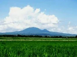 Gunung Pandan: Permata Tersembunyi di Jawa Timur Gunung Pandan