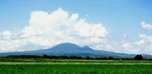 Gunung Pandan: Permata Tersembunyi di Jawa Timur Gunung Pandan