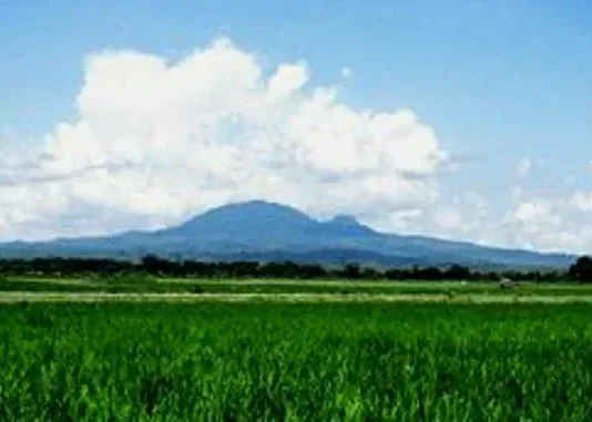 Gunung Pandan: Permata Tersembunyi di Jawa Timur Gunung Pandan