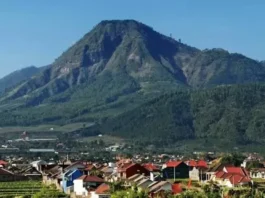 Gunung Panderman: Tantangan di Batu, Jawa Timur Gunung Panderman