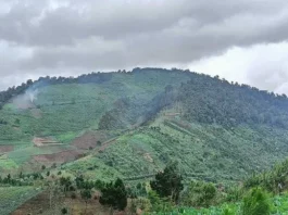 Gunung Pangparang: Menyibak Keindahan di Tanah Sunda Gunung Pangparang