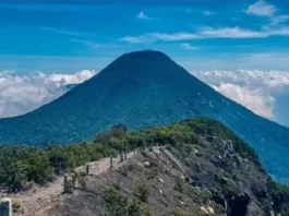 Gunung Pangrango: Surga Alam Menyimpan Yang Misteri Gunung Pangrango