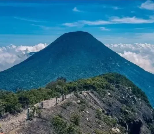 Gunung Pangrango: Surga Alam Menyimpan Yang Misteri Gunung Pangrango