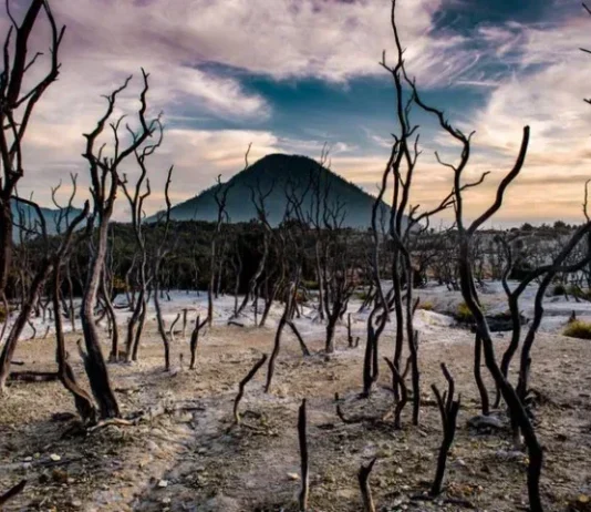 Gunung Papandayan: Keindahan Alam dan Mitos yang Memikat Gunung Papandayan