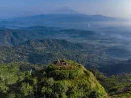 Gunung Pendil: Eksplorasi Keindahan di Jawa Timur Gunung Pendil