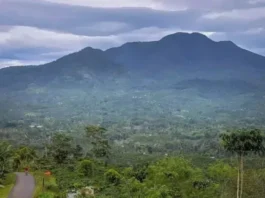 Gunung Pesawaran: Keindahan Tersembunyi di Lampung Gunung Pesawaran