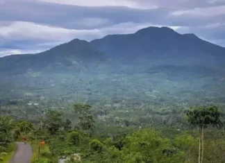 Gunung Pesawaran