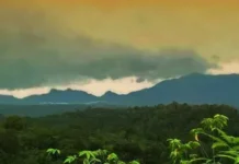 Gunung Pinapan: Petualangan di Sumatera Utara Gunung Pinapan