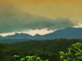 Gunung Pinapan: Petualangan di Sumatera Utara Gunung Pinapan