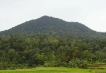Gunung Pulusari