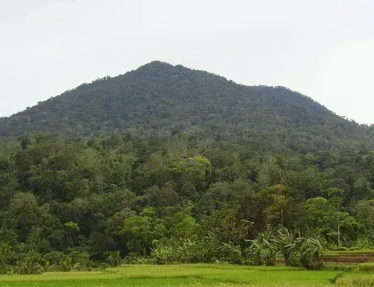 Gunung Pulosari: Permata Tersembunyi di Banten Gunung Pulusari