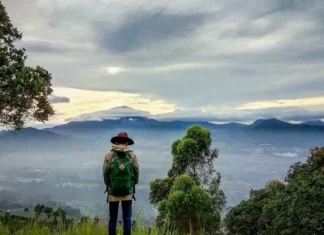 Gunung Putri: Menikmati Keindahan Keunikan Garut Gunung Putri