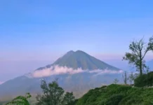 Gunung Ranti: Petualangan Alam Banyuwangi Gunung Ranti