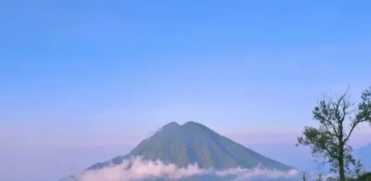 Gunung Ranti: Petualangan Alam Banyuwangi Gunung Ranti