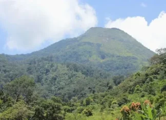 Gunung Rasan: Permata di Tengah Sumatera Gunung Rasan