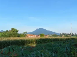 Gunung Ringit: Keindahan Alam di Ketinggian Gunung Ringit