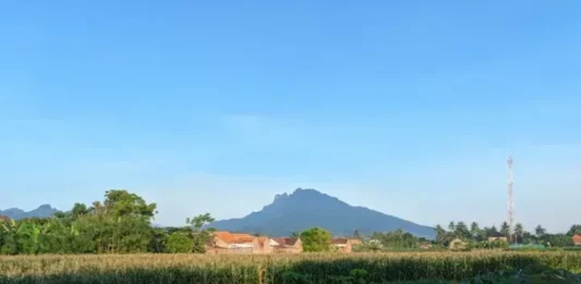 Gunung Ringit: Keindahan Alam di Ketinggian Gunung Ringit