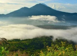 Gunung Sanggabuana: Destinasi Petualangan dan Keindahan Gunung Sanggabuana