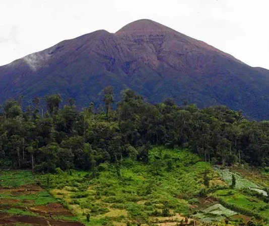 Gunung Seblat: Tantangan Pendakian di Bengkulu Gunung Seblat