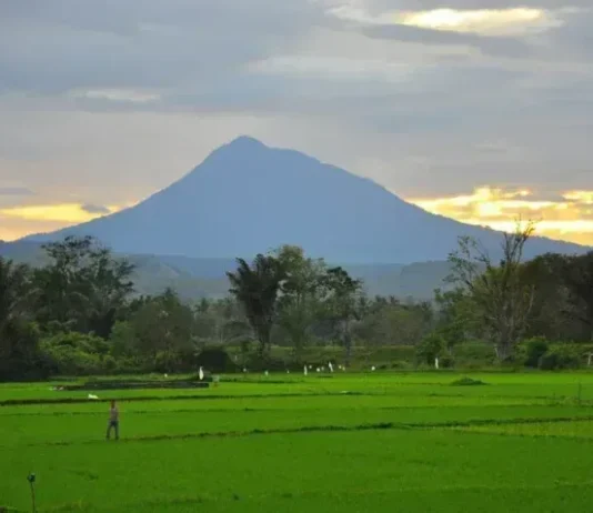 Gunung Seulawah Inong: Keindahan di Tanah Rencong Gunung Seulawah Inong