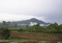Gunung Sibuatan: Puncak Tertinggi Sumatera Utara Gunung Sibuatan