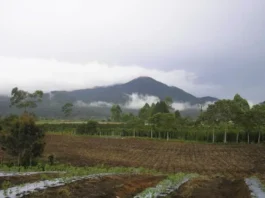 Gunung Sibuatan: Puncak Tertinggi Sumatera Utara Gunung Sibuatan
