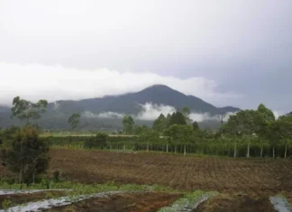 Gunung Sibuatan