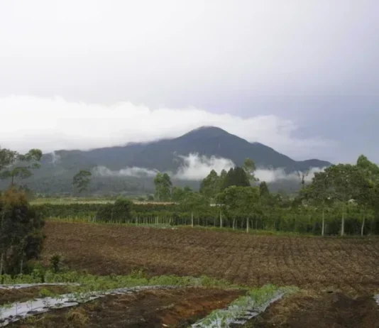 Gunung Sibuatan: Puncak Tertinggi Sumatera Utara Gunung Sibuatan