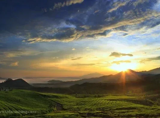 Gunung Subang: Keindahan Alam dan Warisan Budaya Indonesia Gunung Subang
