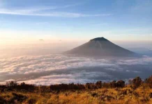 Gunung Sumbing Jambi