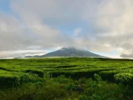 Gunung Tambin: Keindahan di Sumatera Barat Gunung Tambin