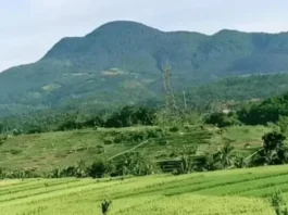 Gunung Tampomas: Keindahan Tersembunyi di Sumedang Gunung Tampomas