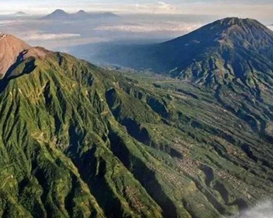 Gunung Waringin: Keindahan Tersembunyi di Jawa Barat Gunung Waringin