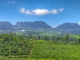 Gunung Wayang: Keindahan Alam di Jawa Barat Gunung Wayang