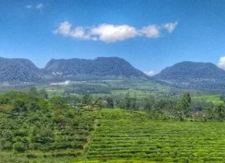 Gunung Wayang: Keindahan Alam di Jawa Barat Gunung Wayang