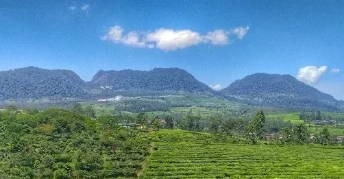 Gunung Wayang: Keindahan Alam di Jawa Barat Gunung Wayang