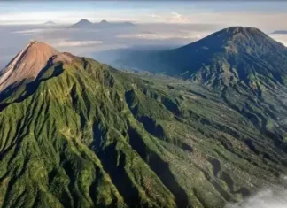 Gunung Asing: Keindahan Tersembunyi di Hutan Tropis Gunung Asing