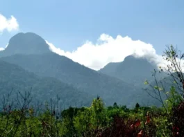 Gunung Bawang: Keindahan Tersembunyi di Kalimantan Gunung Bawang