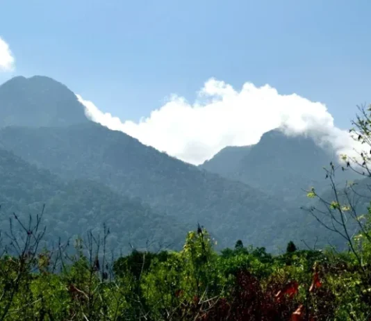 Gunung Bawang: Keindahan Tersembunyi di Kalimantan Gunung Bawang