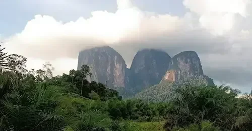 Gunung Betikap: Keindahan Alam yang Tersembunyi di Kalimantan Gunung Betikap