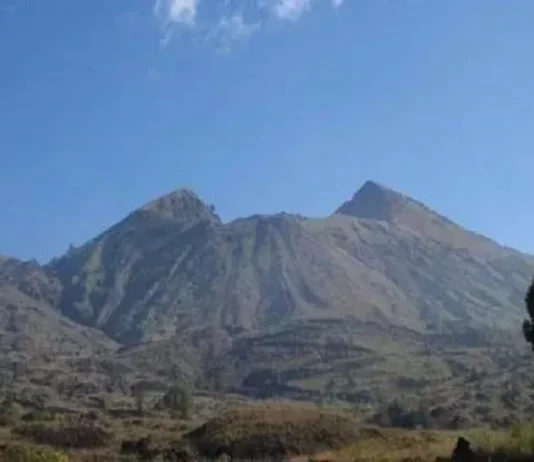 Gunung Bukit Raya: Pesona Alam di Kalimantan Gunung Bukit Raya