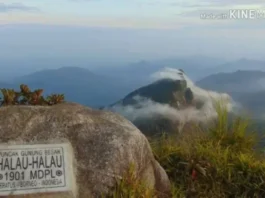 Gunung Halau-halau: Petualangan di Jantung Kalimantan Gunung Halau-halau