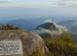 Gunung Halau-halau