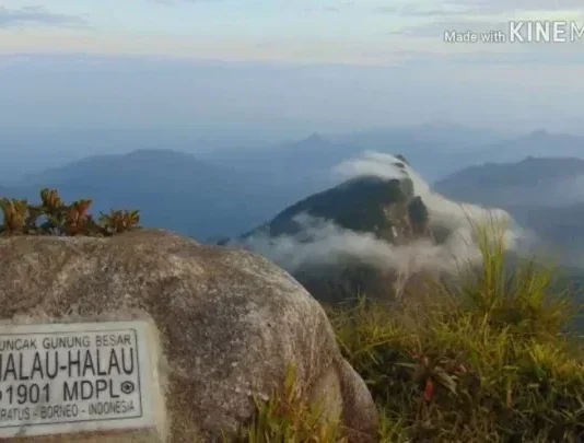 Gunung Halau-halau: Petualangan di Jantung Kalimantan Gunung Halau-halau