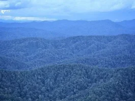 Gunung Kerihun: Keindahan Alam dan Petualangan di Kalimantan Gunung Kerihun