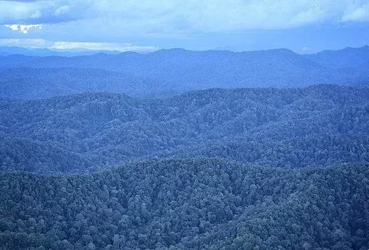 Gunung Kerihun: Keindahan Alam dan Petualangan di Kalimantan Gunung Kerihun