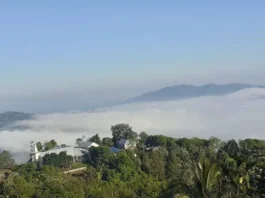 Gunung Liangpahang: Menjelajahi Keindahan Alam Kalimantan Gunung Liangpahang