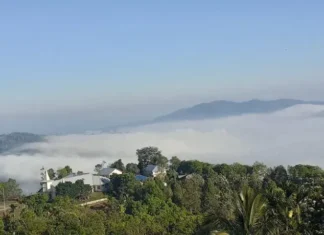 Gunung Liangpahang: Menjelajahi Keindahan Alam Kalimantan Gunung Liangpahang