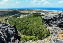 Gunung Mando: Petualangan di Tengah Keindahan Alam Gunung Mando