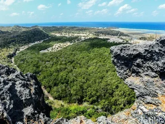 Gunung Mando: Petualangan di Tengah Keindahan Alam Gunung Mando